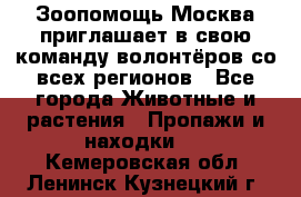 Зоопомощь.Москва приглашает в свою команду волонтёров со всех регионов - Все города Животные и растения » Пропажи и находки   . Кемеровская обл.,Ленинск-Кузнецкий г.